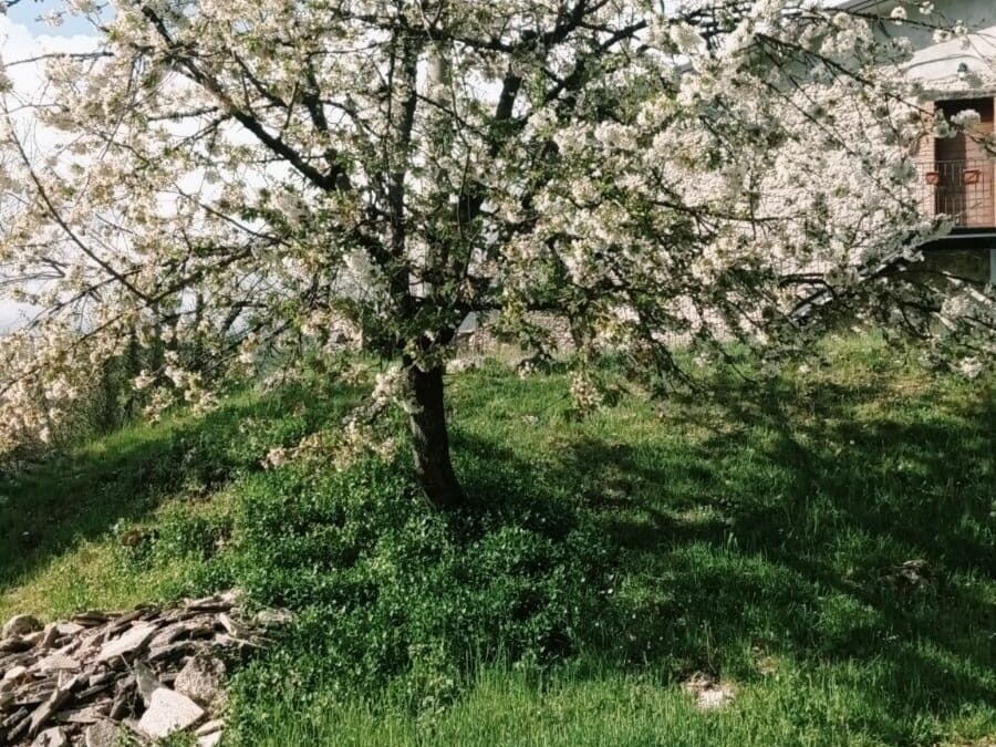 il giardino della Grotta dei Nonni a paganico